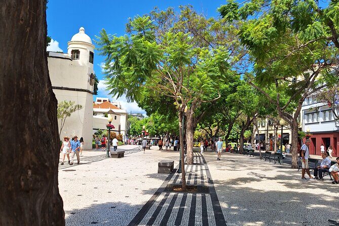2-Hour Funchal City & Madeira Wine Experience - Zona Velha: Old Town details you can spot later
