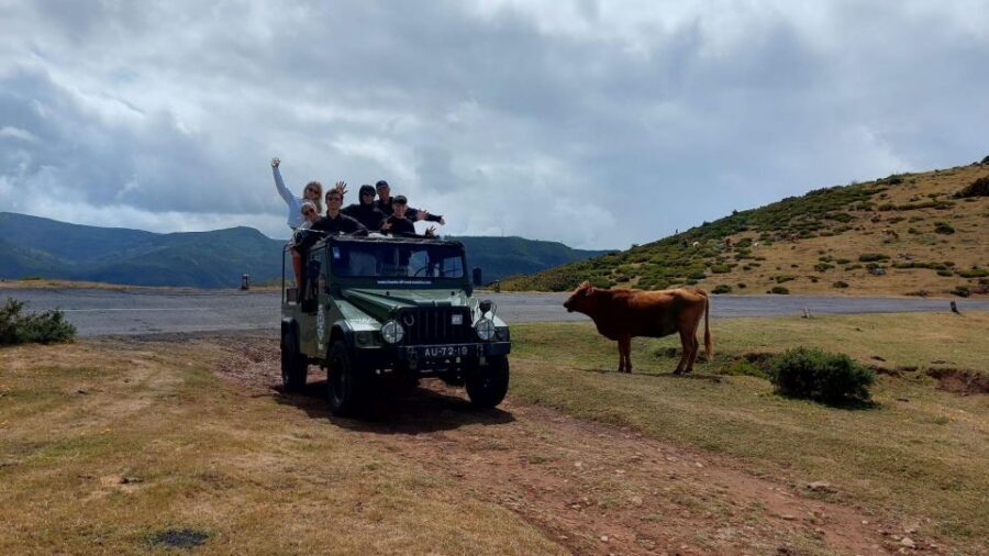 4 hours Unique Jeep Safari Tour to Pico do Arieiro, Madeira - Price and Value: What $72 Buys on Madeira