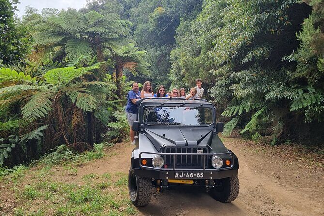 5 Hours Private Tour to Santana, Thatched houses - Ribeiro Frio and Laurissilva: green first, then levadas