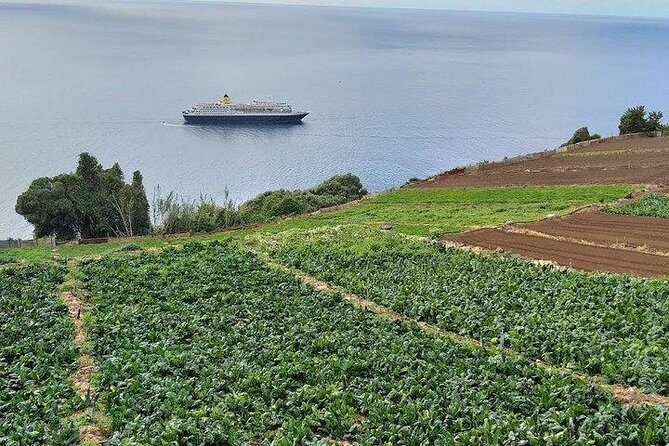 Agriculture Green Tour - Getting picked up at 9:00 and riding Madeira’s old roads