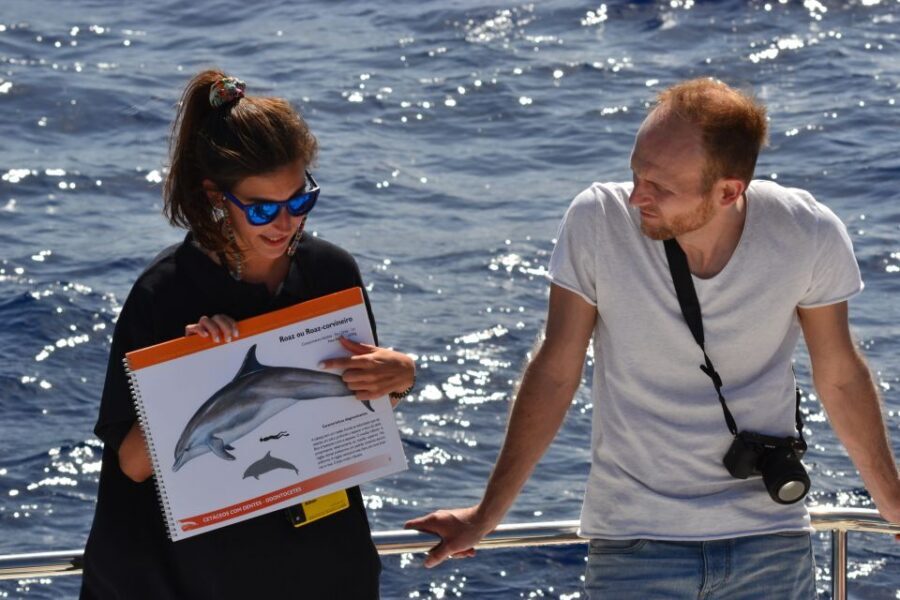 All Inclusive Whale and Dolphin Watching Luxury Tour - Cabo Girão: the highlight stop with photos, swimming, and snorkeling