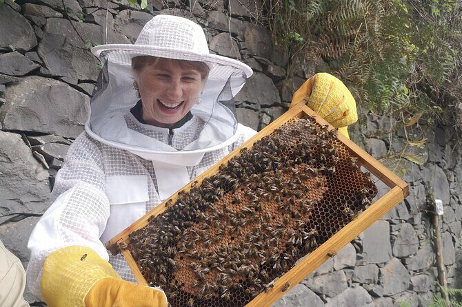 Amazing experience with Bees, honey and Pollen in Madeira Island - Why Madeira’s Bees Feel More Personal Than a Typical Tour