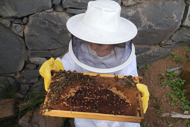 Amazing experience with Bees, honey and Pollen in Madeira Island - Tasting Madeira’s Bee Products: Honey, Pollen, Cheese, Cider, and Poncha
