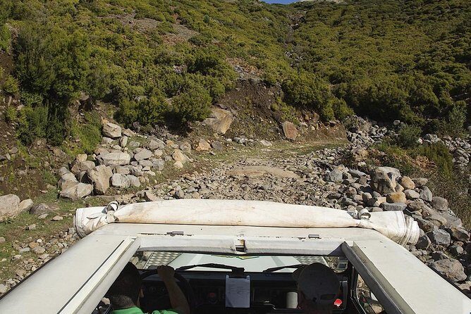 Amazing West - Jeep Safari Tour - Full Day - Shared Tour - Fanal Forest: When the Stop Feels Like a Movie Scene