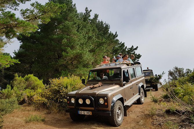 Arieiro Peak, Santo Serra, Cristo Rei in Open Roof 4x4 Experience - A half-day 4x4 ride above Funchal: what it’s really like