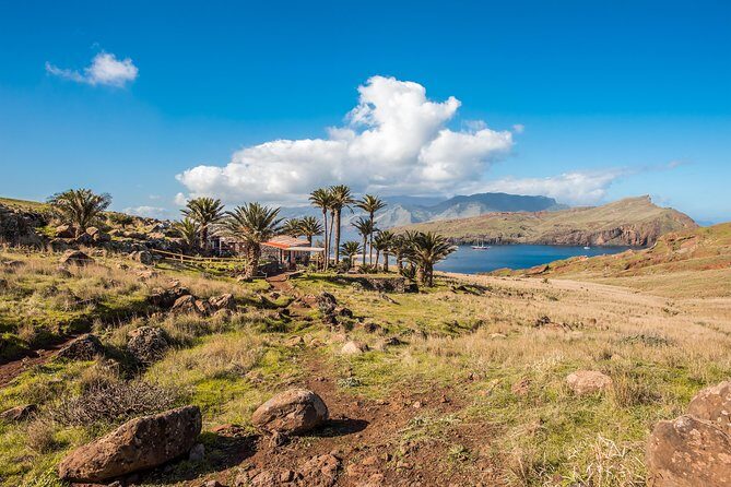 Basic Tour 1 - Cais do Sardinha to Quinta do Lorde (one way) - The cave stop on Baía d’Abra: quick, memorable, and very Madeira