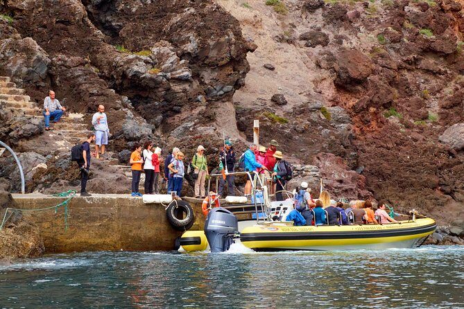 Basic Tour 2 - Quinta do Lorde to Cais do Sardinha and return - Comfort, safety, and the team vibe (small group helps)