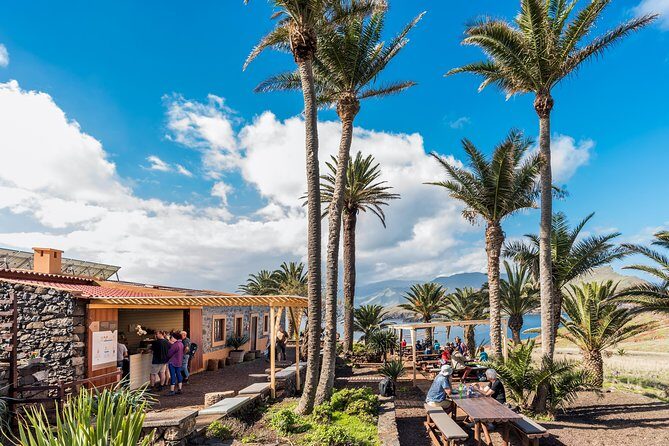 Basic Tour 2 - Quinta do Lorde to Cais do Sardinha and return - Price and value: why $22.35 feels fair for what you get