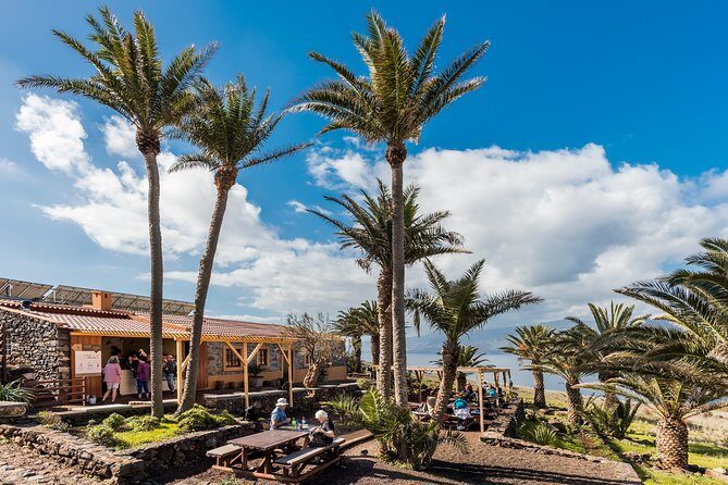 Basic Tour 2 - Quinta do Lorde to Cais do Sardinha and return - Who this tour suits best