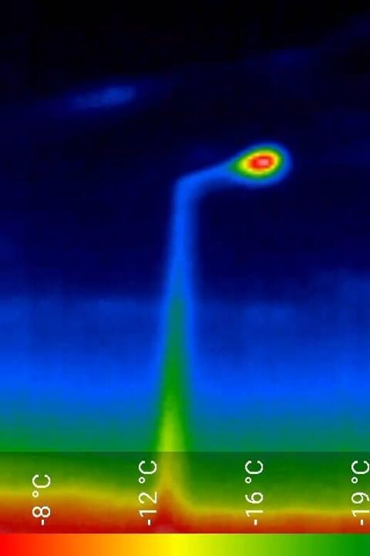 Bat Watching Madeira - Thermal cameras, hot drinks, and the gear you should plan around