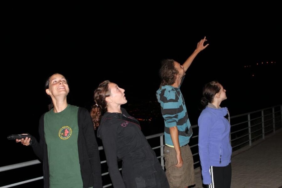 Bat Watching Madeira - Transfers in Funchal: what’s included and what you must arrange