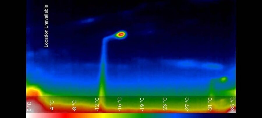 Bat Watching Madeira - FAQ