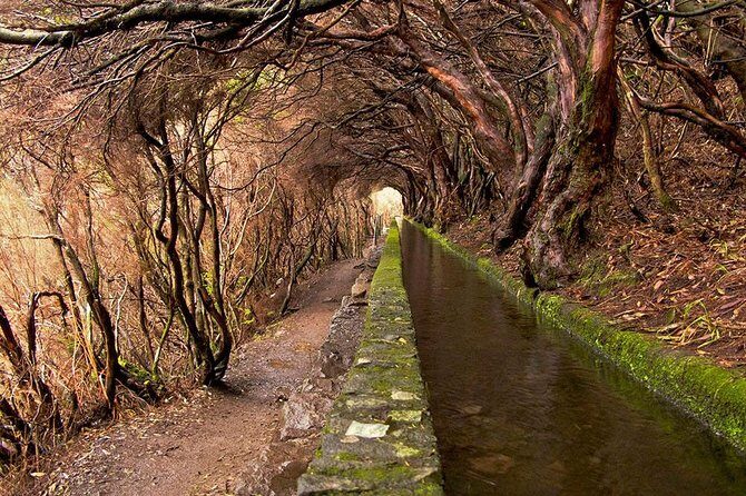Beautiful walks in Rabaçal, Madeira - Key things to know before you go