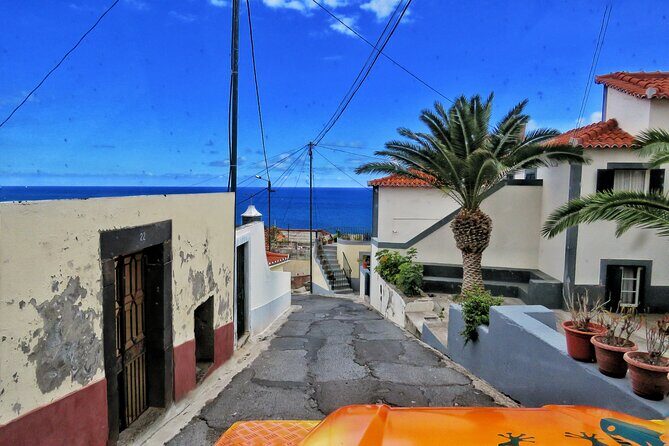 Cabo Girão & mountains 4x4 tour - Câmara de Lobos: fishing boats, sea views, and Churchill’s art link