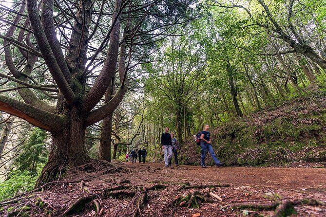 Caldeirão Verde Levadas Walk in Madeira - Price and value: what $52.86 buys you (and what it doesn’t)