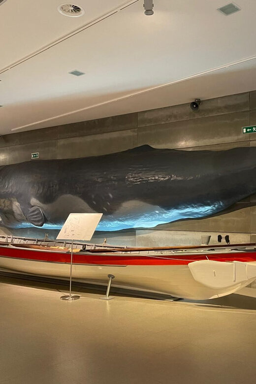 Caniçal : Madeira Whale Museum Entry ticket - Research and conservation: how the museum connects past to present