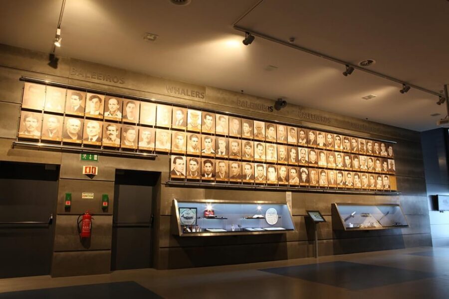 Caniçal : Madeira Whale Museum Entry ticket - Timing it with your Madeira day in Machico area