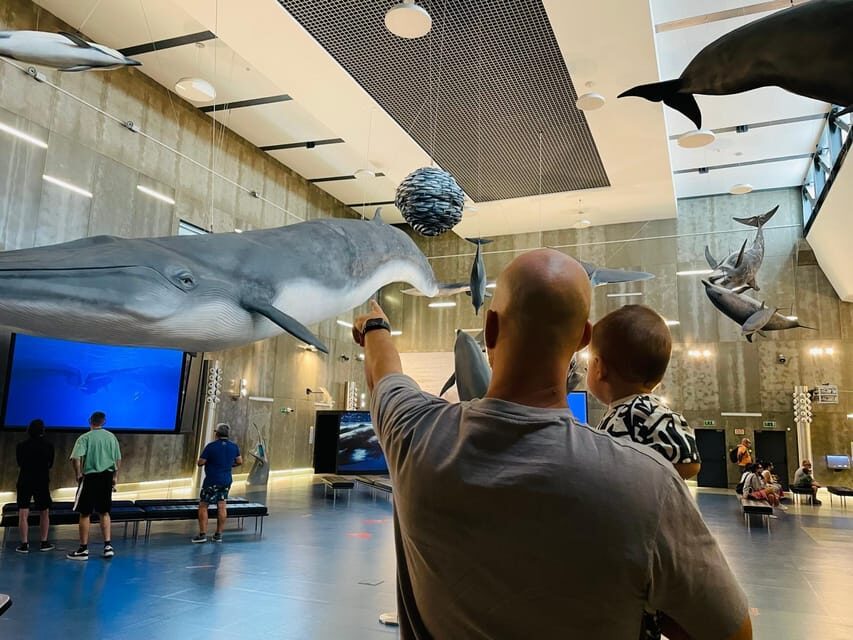 Caniçal : Madeira Whale Museum Entry ticket - Entering the museum: how to get the most from your visit