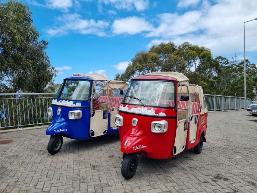 Cristo Rei & Garajau Tuk-Tuk Tour - Key things to know before you go