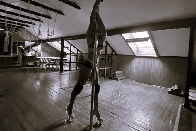Dance Class (choose 1: Pole Dance, Burlesque or Aerial Silk/Hoop) - Who should book this (and who might pause)