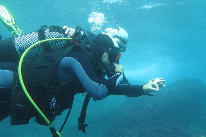 Discover Scuba Diving or Try dive - Gear and Comfort: What’s Included and What You Should Bring