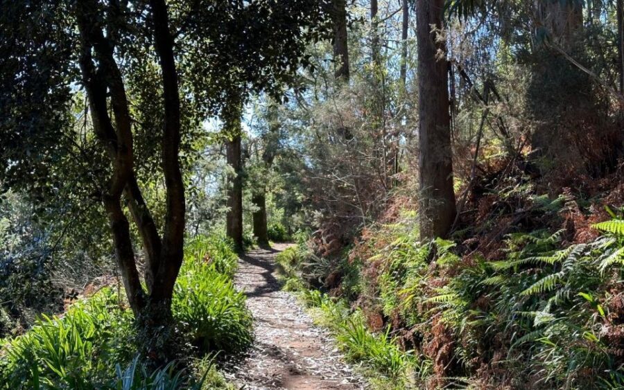 Discover the Paradise Valley - a quick escape for Everyone - The Role of Your Guide: Clear Explanations and a Friendly Pace