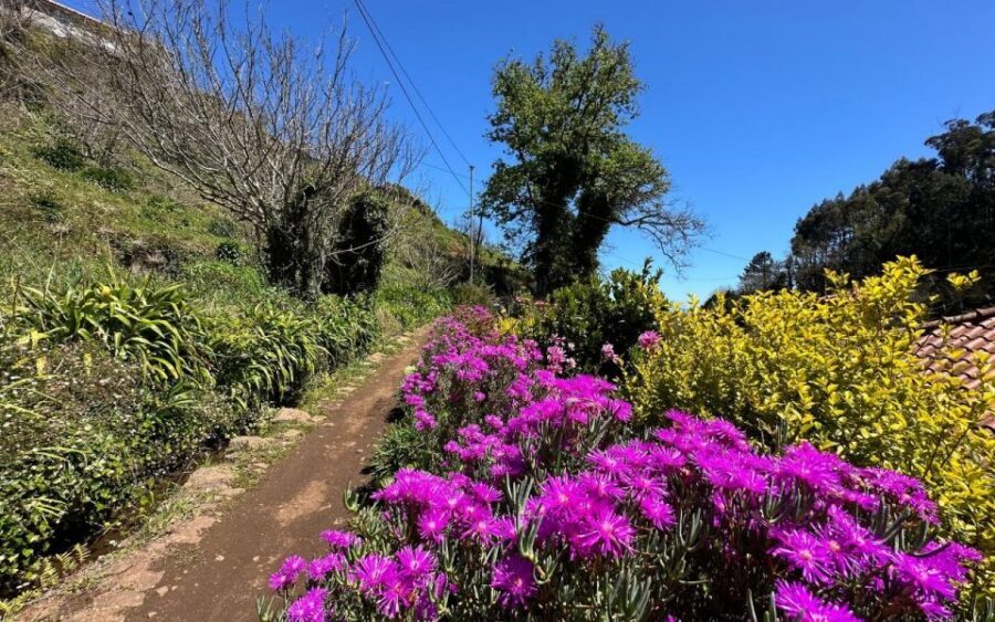 Discover the Paradise Valley - a quick escape for Everyone - Price and Value: Why $35 Feels Fair for 2.5 Hours