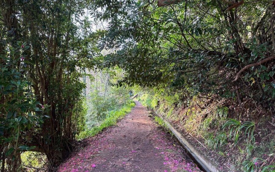 Discover the Paradise Valley - a quick escape for Everyone - Should You Book Paradise Valley? My Practical Take