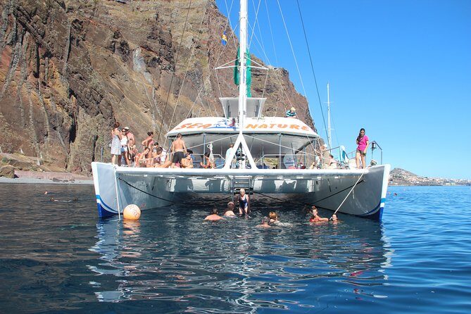 Dolphin and Whale Watching Catamaran Cruise from Funchal - Comfort, Drinks, and the Stuff That Changes the Mood