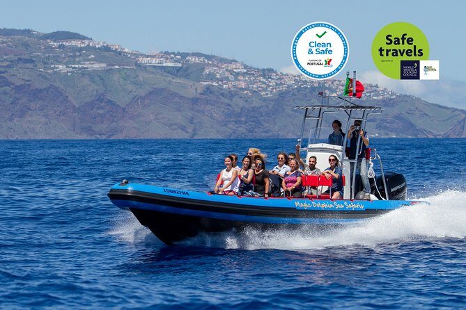 Dolphin - Whale - Turtle - Bird Watching - What the 2-hour safari actually feels like on the water