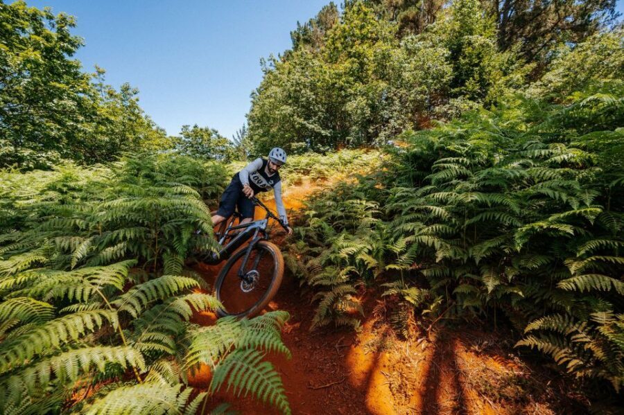 E-Bike Guided Tour - Belle Vue Mountain Biking - Who This Tour Fits Best (and Who Should Skip It)