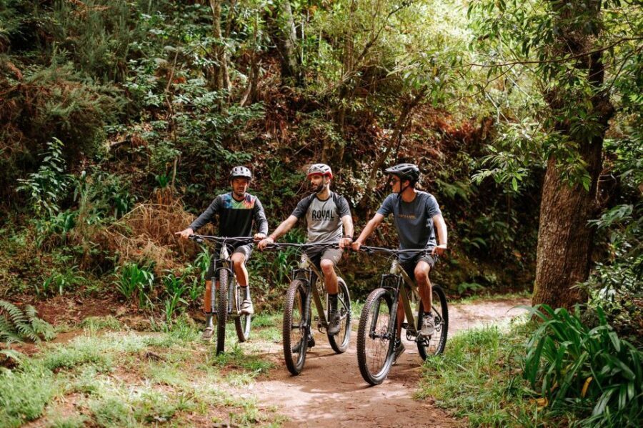 E-Bike Guided Tour - West Side Mountain Biking - The First Trail Stretch: Views, Trail Choice, and Real Madeira Terrain