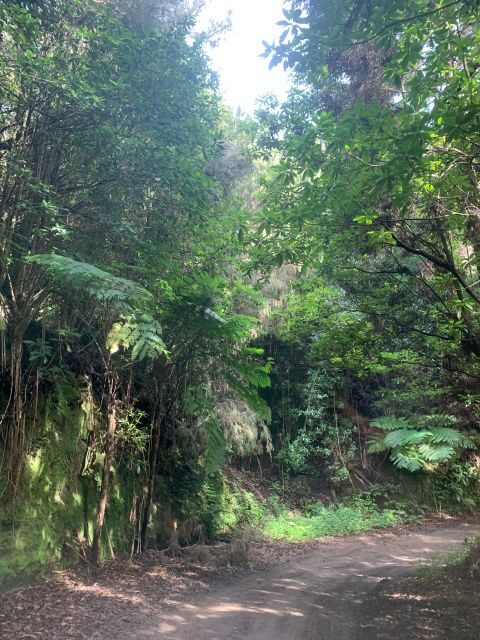 East Tour: Classic jeep tour to East Madeira - Santana - Poto da Cruz and the North Mills Distillery (1927): A Different Pace