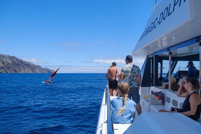Eco-Friendly Catamaran Dolphin and Whale Watching - Wildlife Viewing Expectations: What You Might See (and What You Can’t Control)