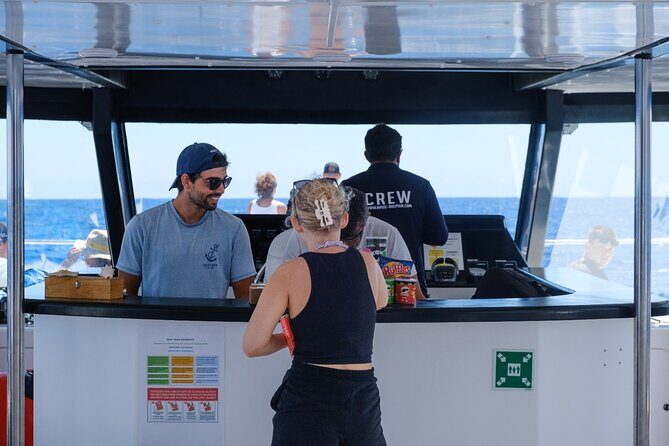 Eco-Friendly Catamaran Dolphin and Whale Watching - Timing, Weather Reality, and What to Wear