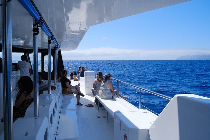 Eco-Friendly Catamaran Dolphin and Whale Watching - Cabo Girão and Madeira’s South Coast Stories During the Cruise
