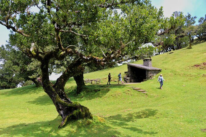 Exploring new Northwest frontiers: Beyond Madeira in 4x4 tour - Paul da Serra: high plateau wind, moorland, and big views