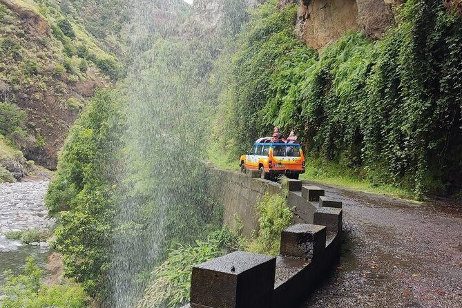 Exploring new Northwest frontiers: Beyond Madeira in 4x4 tour - Fanal (Laurisilva): misty forest that slows your pace