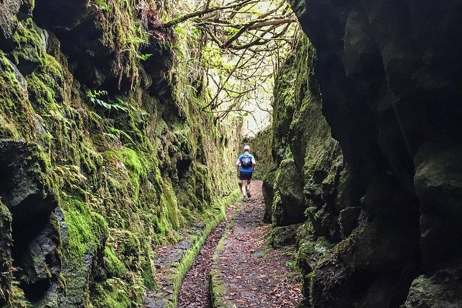 Folhadal Hidden Treasures Running Tour (Moderate) - Why this run in Laurissilva feels different than a normal Madeira day