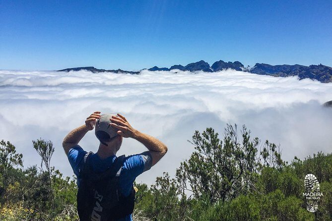 Folhadal Hidden Treasures Running Tour (Moderate) - 18 km and ~700 m elevation: how to judge the difficulty