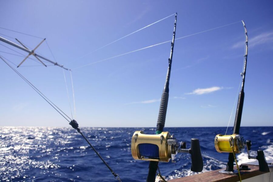 From Funchal : Big Game Fishing boat trip - Catch Cleaning and Filleting: The Real Bonus After a Long Day