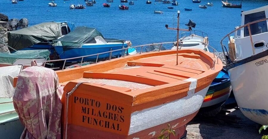 From Funchal: Eucalyptus Forest Guided 4x4 Tour - From Funchal to Câmara de Lobos: Big Sea Views First