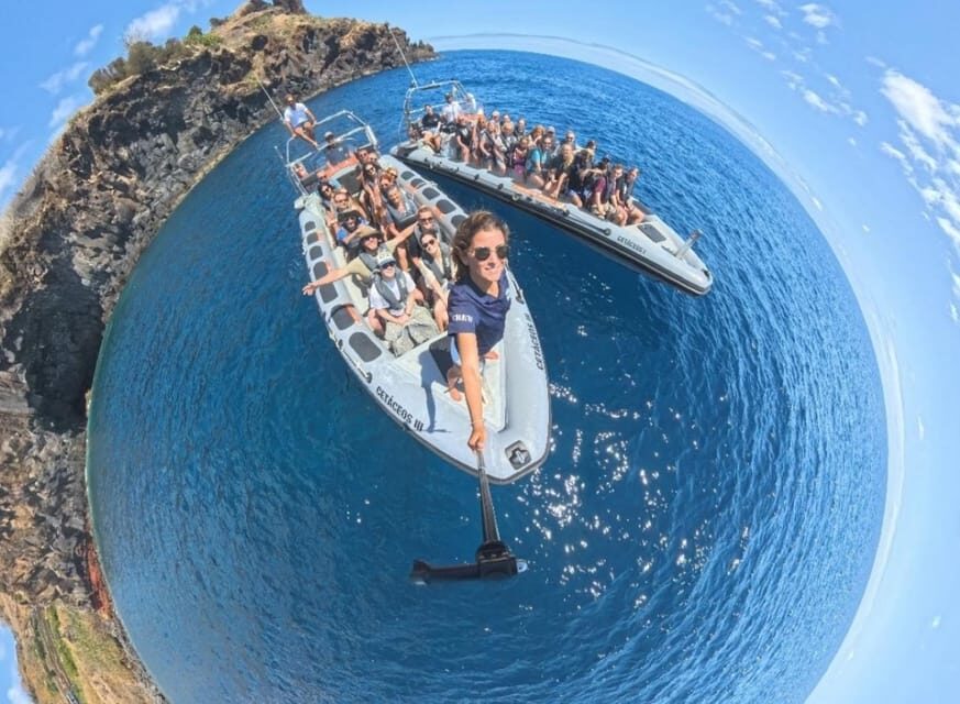From Funchal: Whale and Dolphin Watching - Safety and animal respect: where this tour earns trust