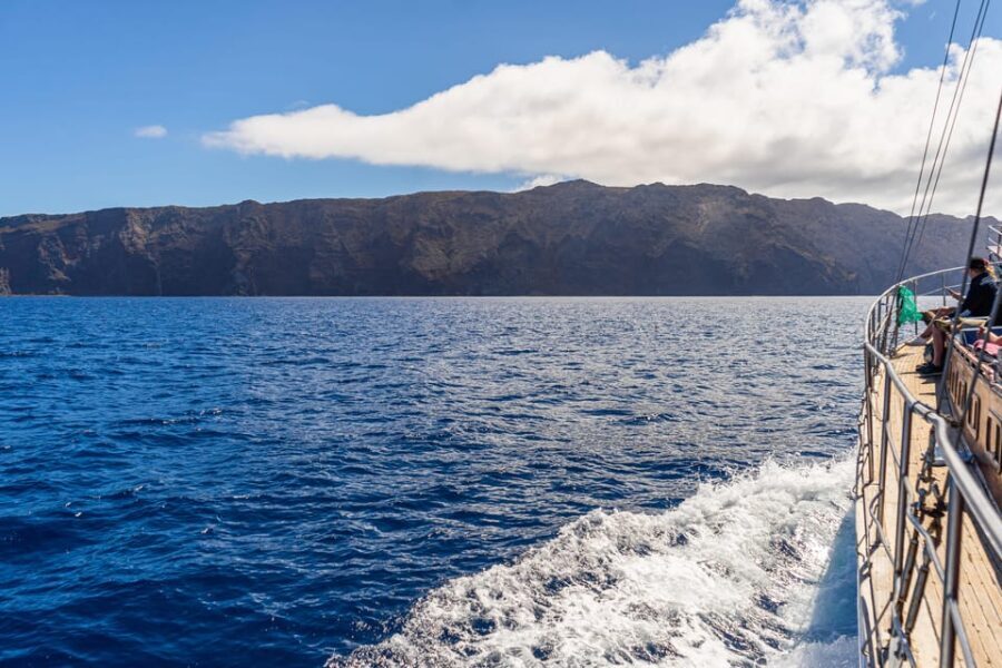 From Funchal: Wooden Boat Excursion to Desertas Island - Comfort checklist: what to bring (and what to skip)