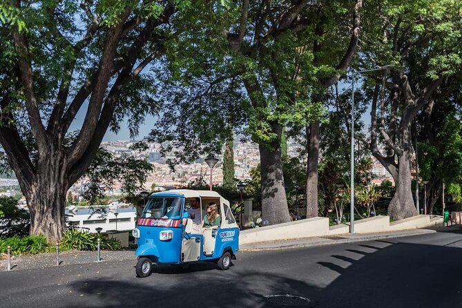 Full Day Madeira Island Private Discovery by Tuk Tuk - Stop-by-stop: what each place is like and where you should watch your timing