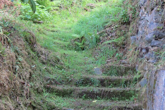Full Day Private 4x4 Adventure in Madeira - Laurisilva at Ribeiro Frio and Levada dos Balcoes