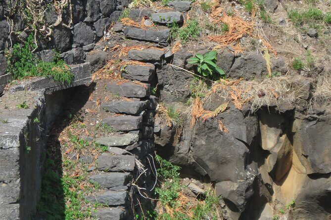 Full Day Tour in 4x4 Jeep to Porto Moniz and Fanal - Serra de Água: Water Country on a Green Mountainside