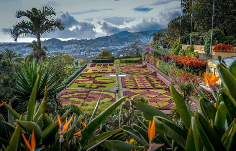 Funchal: Botanical Garden & Old Town Tour by TukTuk (1h45) - Timing That Fits a Tight Day: What 105 Minutes Really Covers