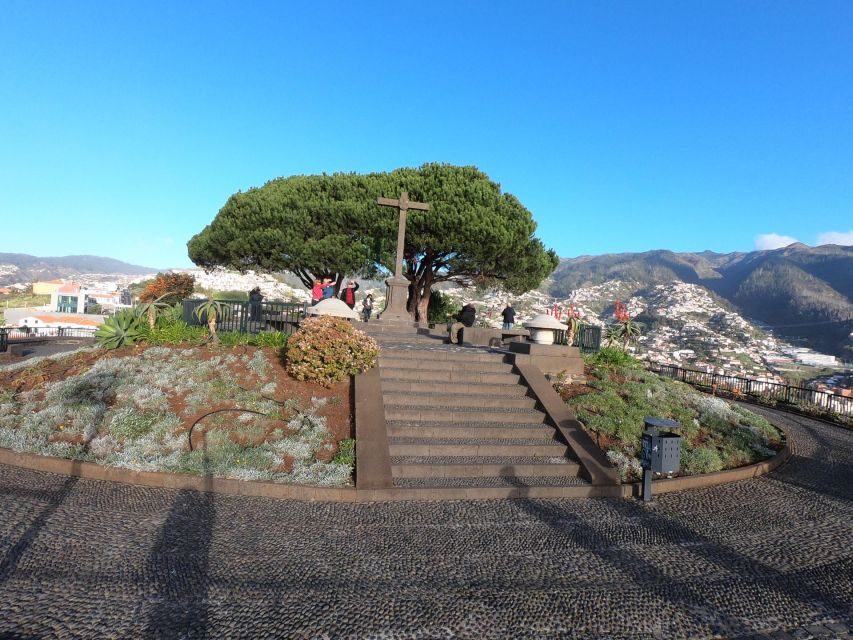 Funchal: Cabo Girão, Wines Tasting and Dolphins Watching - Cabo Girão: the 580 m glass balcony moment (and the extra €3)