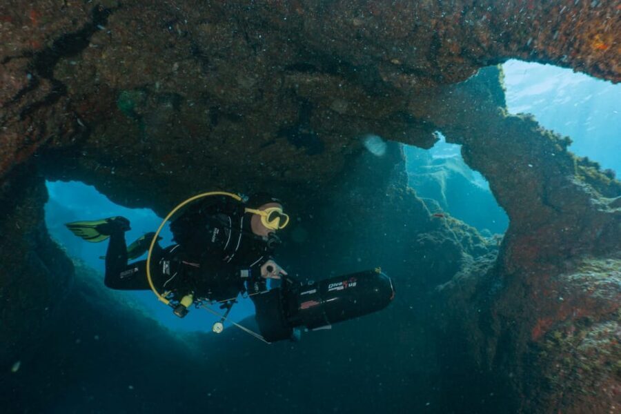 Funchal: DPV- Scooter Dive Adventure - What You’ll See: Marine Life Viewing Without the Constant Swim